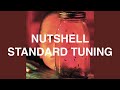 Nutshell in E Standard Tuning