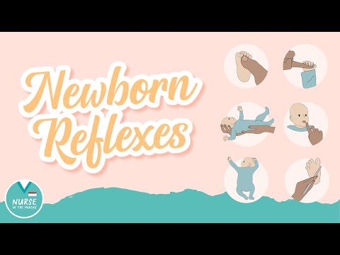Newborn Reflexes » Maternity Nursing