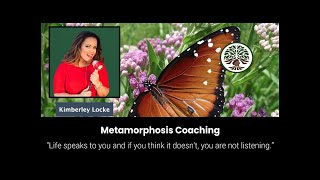 Kimberley Locke: From Nashville To L.A. and Everywhere In Between