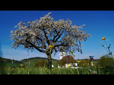 Wanderung rund um Arisdorf