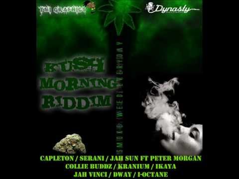 KUSH MORNING RIDDIM MIXX BY DJ-M.o.M COLLIE BUDDZ, JAH VINCI, SERANI, I-OCTANE and more