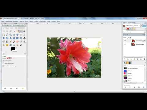 Gimp Tutorial magische Schere