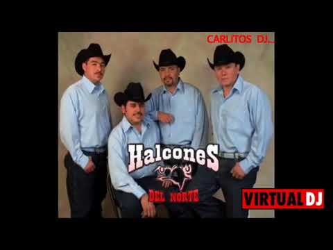Los Halcones del Norte solo cumbias...