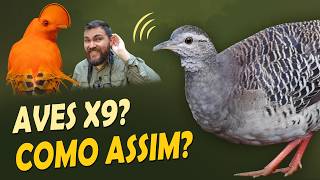 Miniatura do vídeo