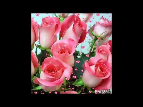 Hino CCB 193 Nada jamais me faltará