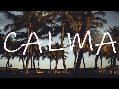 Alan Walker - Calma feat. Pedro Capó & Farruko (Lyrics)