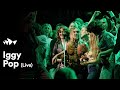 Iggy Pop - "No Fun" | Live at Sydney Opera House