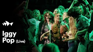 Iggy Pop - &quot;No Fun&quot; | Live at Sydney Opera House