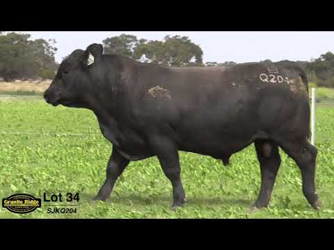 GRANITE RIDGE QUIZNO Q204