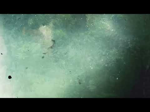 Sylfvr - A Mysterious Pond