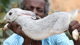RABBIT Roast Prepared by my Daddy in my village / Village food factory