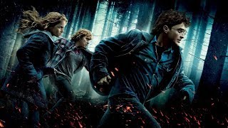 18. Hermione's Parents - Alexandre Desplat