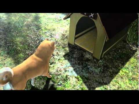 Lets Play Yakuza 3 PT109: The End