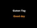 Wir sind Helden | Guten Tag | English Subtitles & Original Lyrics