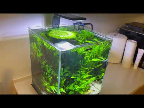 AQUAEL SHRIMP SET 30L