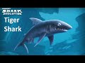 Hungry Shark Evolution - Взлом тигровой акулы! Бьем рекорды! [HD/iPad ...