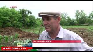 Хасан Израилов обустроил на своем участке в 30 соток доходное хозяйство