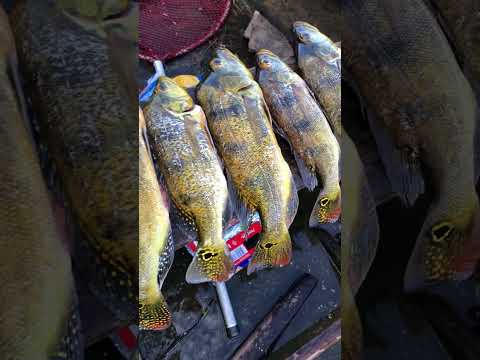 Pescaria no Congo PB