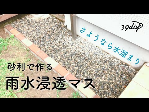 庭で水を節約する: 実践的なヒントとコツ!  庭園