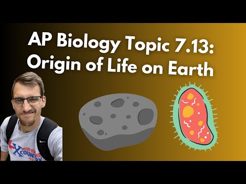 (2019 curriculum) 7.13 Origins of Life on Earth - AP Biology