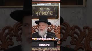 ✨️הרב זמיר כהן✨️ #הלכה #מוסאיוף @musayof-live #טובשבט (בית הכנסת מוסאיוף - ערוץ חדש) - התמונה מוצגת ישירות מתוך אתר האינטרנט יוטיוב. זכויות היוצרים בתמונה שייכות ליוצרה. קישור קרדיט למקור התוכן נמצא בתוך דף הסרטון