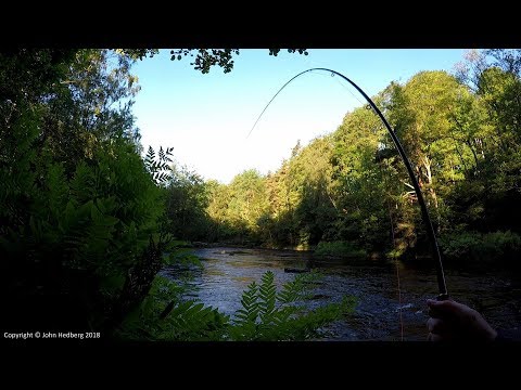 Fly fishing salmon/sea trout Moments from the Mörrum River 2017. Part 1 - Spring and summer fishing.