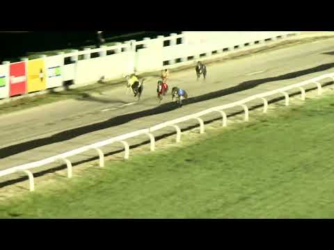 2022.08.05. 06. futam - Augusztusi Trófea