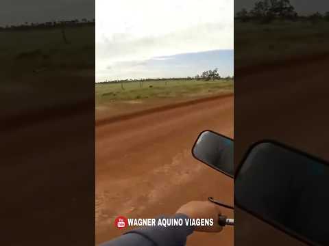 Prévia do Episódio 03 | Viagem Brasil Pela Amazônia | 1° Temporada.