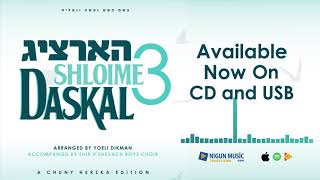 Shloime Daskal - Hartzig 3 - Album Preview | שלומי דאסקל - הארציג 3
