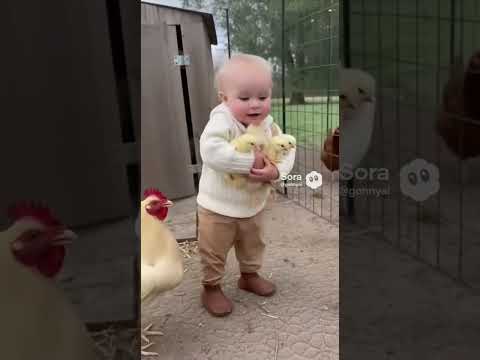 🐥 병아리 안고 도망가는 아기! 어미닭 긴급출동 ㅋㅋ