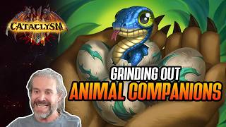 (Hearthstone) Grinding Out Animal Companions
