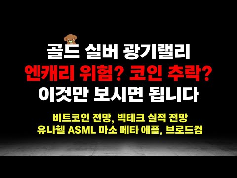 엔캐리 위험, 골드 실버 랠리, 마소 메타 애플 유나헬 ASML 실적전망, 비트코인 이더리움 전망, 이것만 보시면 됩니다