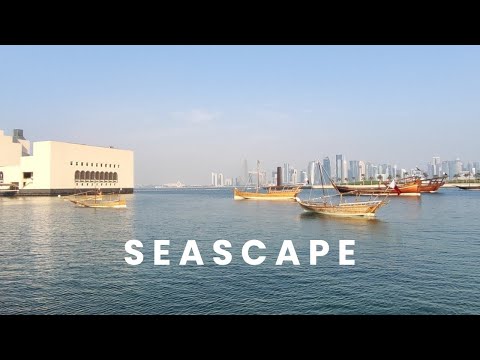 Seascape 51-live stream!