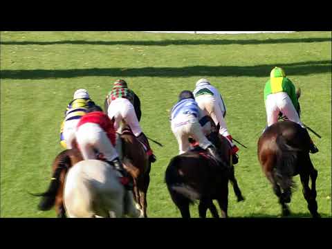 PE, 14. 10. 2018, 6. dostih - Cena společnosti VCES a.s. - Cena Labe