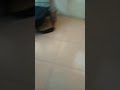 Lepas Baju Praktis
