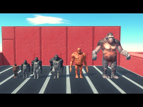 Impossible Maze - Punching Team ARBS | Animal Revolt Battle Simulator