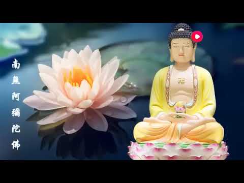 Amazing Namo Amituofo Chant | 南无阿弥陀佛圣号