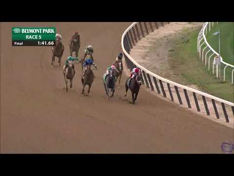 King for a Day defeats Tacitus!