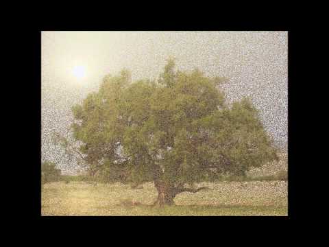 Ai Du Ali Farka Toure