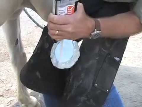 Slide 6 - Vettec Equi-Pak Clear 210cc  (video)