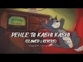 Pehle To Kabhi Kabhi Gam Tha Lofi Songs Slowed Reverb