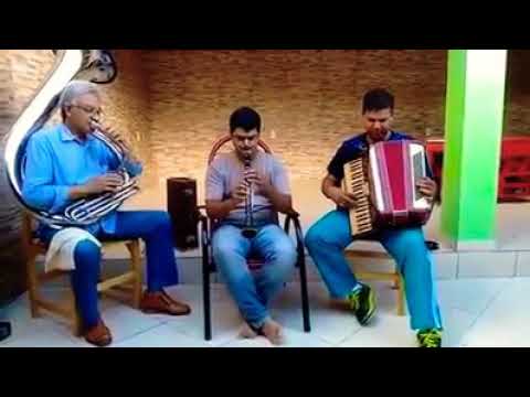 Hino 452 - Jesus, ó Divinal Pastor floreado.