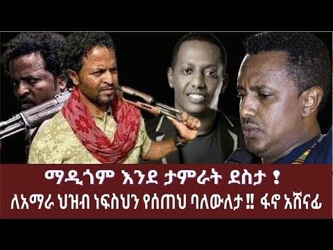 ሕውሓት በአየር ሀይላችን ተረፈረፈች፤ዳኘ ዋለ/የጨነቀለት/የግድያ ሙከራ ተደረገበት፡፡