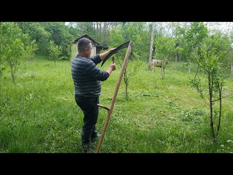 MOWING THE LAWN/HOW TO SHARPEN A SICKLE