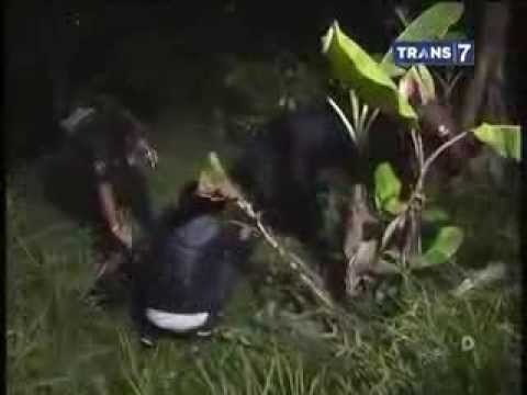 Mister Tukul Jalan Jalan 17 Januari 2015 Full eps Tragedi Pedih Temanggung