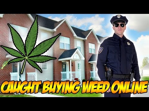 download lagu mp3 mp4 Buy Weed Online Australia, download mp3 Buy Weed Online Australia free download mp3, download mp3 Buy Weed Online Australia