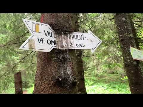 Valea Cerbului (marcaj bandă galbenă) am ajuns sau nu la Vârful Omu?!