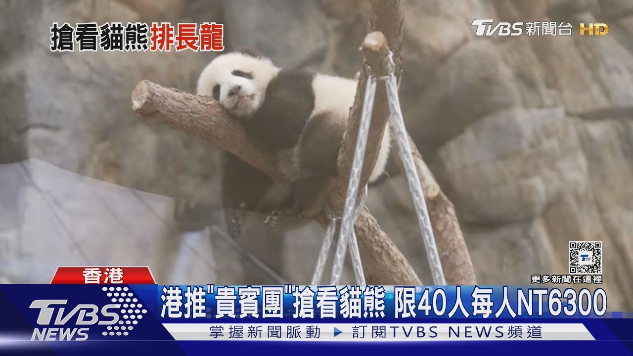 香港雙胞胎大貓熊亮相 百人排隊塞滿展廳