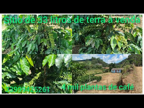 Sítio à venda em Piedade de Caratinga.