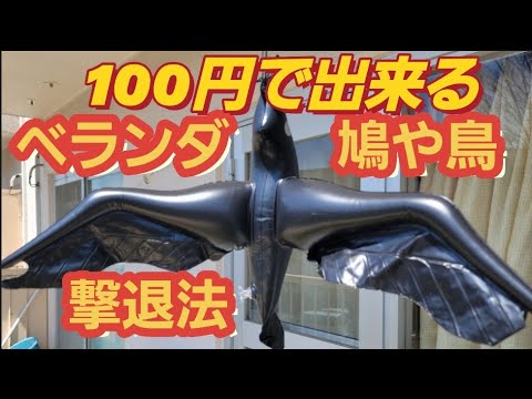 ハトを永久に遠ざけるにはどうすればいいですか？本当に役立つヒントとコツ  庭園